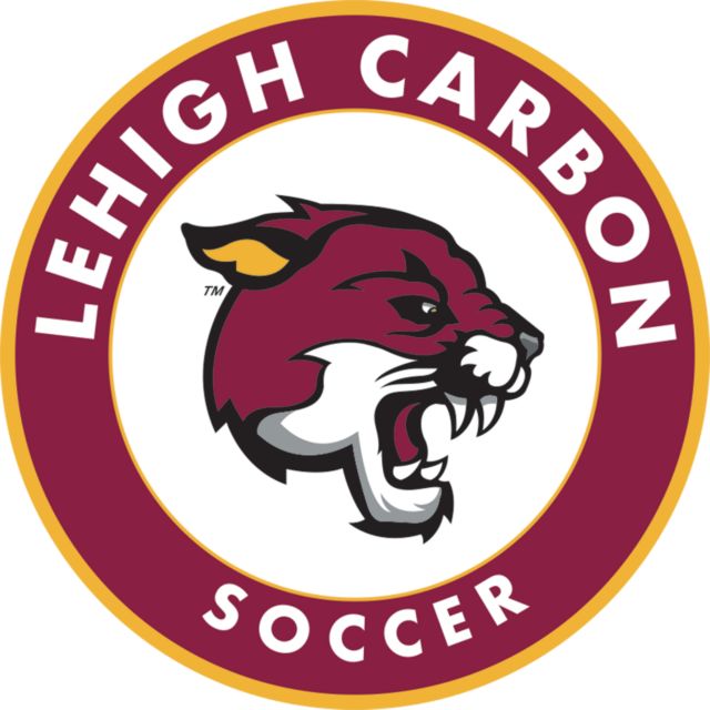 Lehigh Medium Decal Lehigh Comm College Scocer - ONLINE ONLY