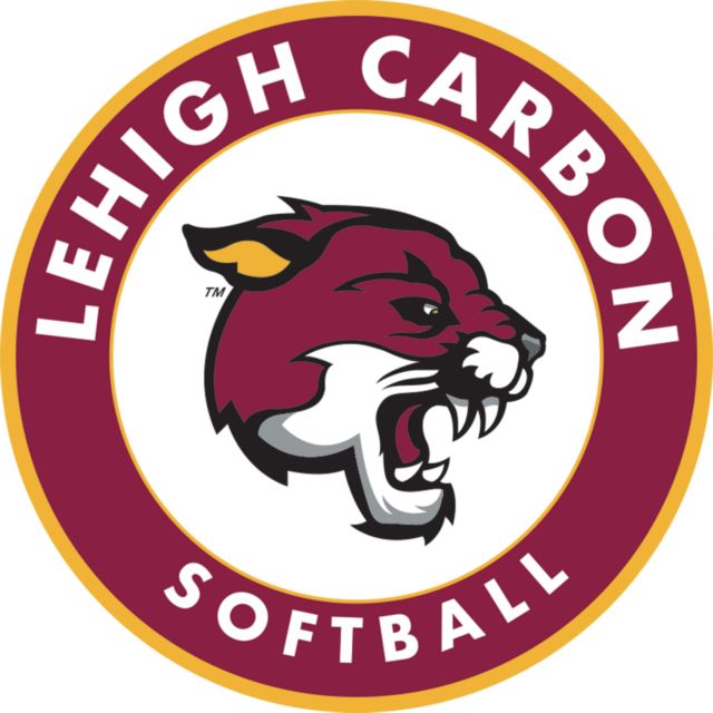 Lehigh Medium Decal Lehigh Comm College Softball - ONLINE ONLY