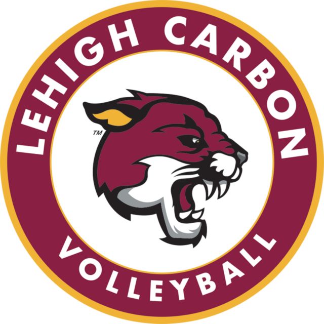 Lehigh Medium Decal Lehigh Comm College Volleyball - ONLINE ONLY