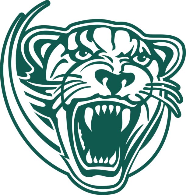 Palm Beach State Medium Decal Panther Head - ONLINE ONLY