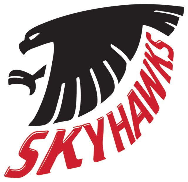 Sauk Valley Large Decal Sauk Valley CC Mascot - ONLINE ONLY