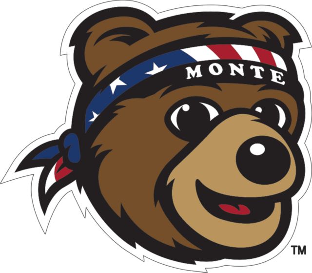 Montana Medium Decal UM Griz Bear - ONLINE ONLY