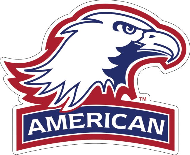 American University Extra Large Decal  - ONLINE ONLY