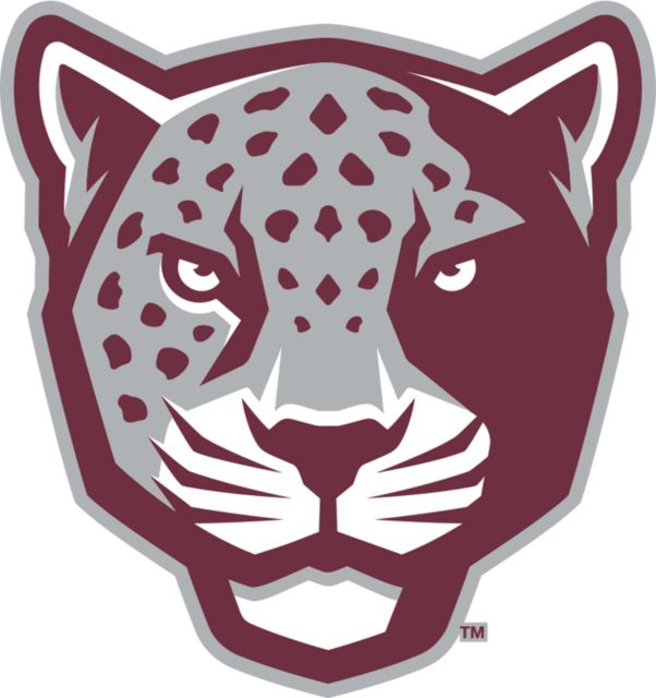 Texas A&M San Antonio Medium Decal TAMUSA Mascot Head - ONLINE ONLY