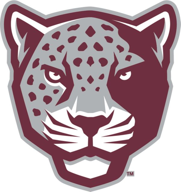 Texas A&M San Antonio Large Decal TAMUSA Mascot Head - ONLINE ONLY