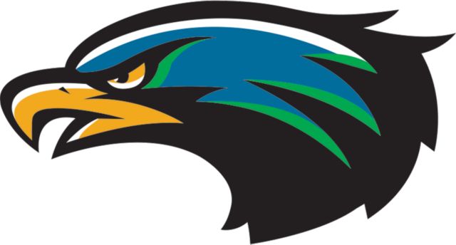 Houston Clear Lake Medium Decal UHCL - Hawk Head - ONLINE ONLY