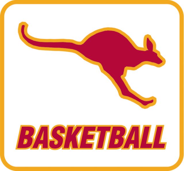 Austin College Decal Basketball - ONLINE ONLY