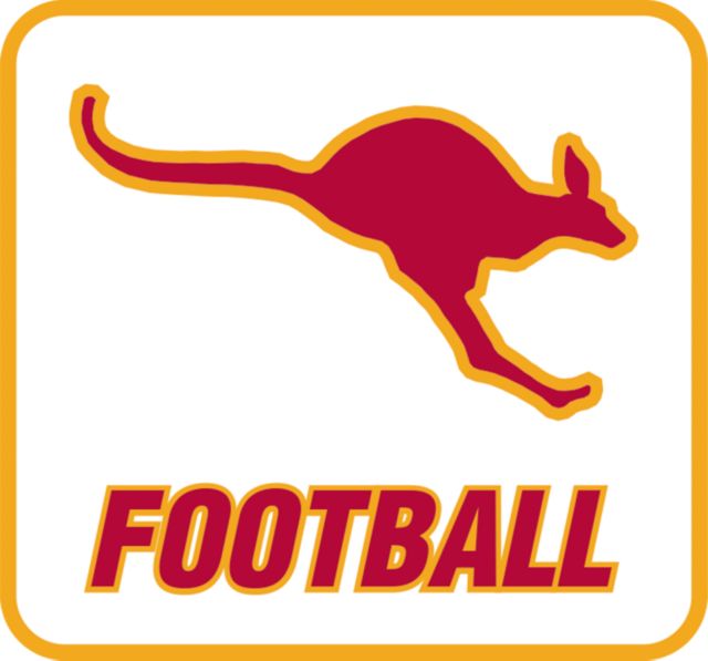Austin College Decal Football - ONLINE ONLY
