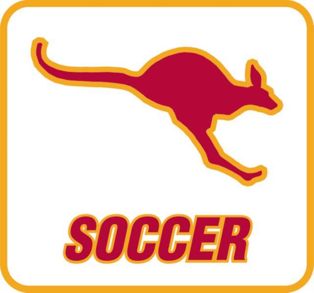 Austin College Decal Soccer - ONLINE ONLY