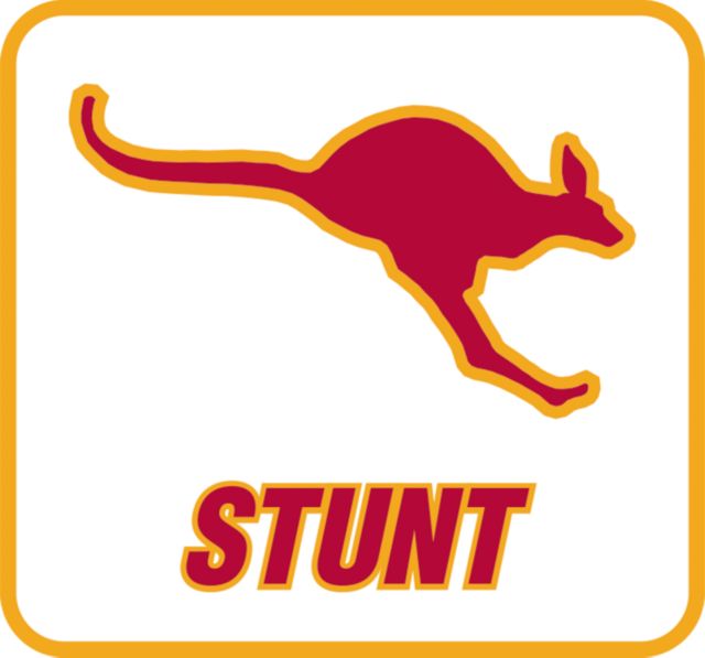 Austin College Decal Stunt - ONLINE ONLY