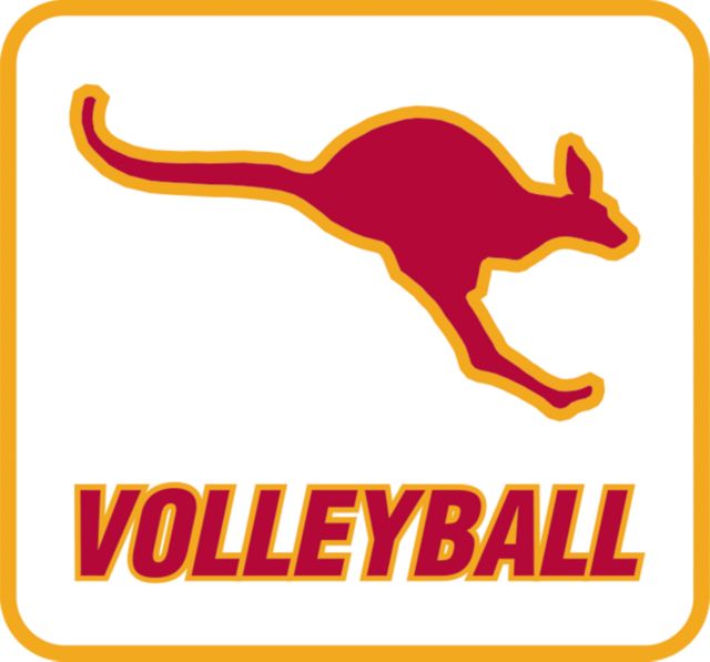 Austin College Decal Volleyball - ONLINE ONLY