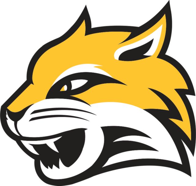 Wayne State Medium Decal WSU Mascot Head - ONLINE ONLY
