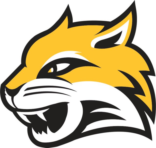 Wayne State Large Decal WSU Mascot Head - ONLINE ONLY
