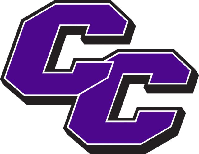 Curry College Medium Decal Curry College Wordmark Flat - ONLINE ONLY