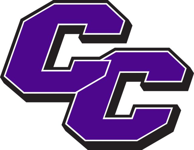 Curry College Extra Large Decal Curry College Primary Athletic Mark - ONLINE ONLY