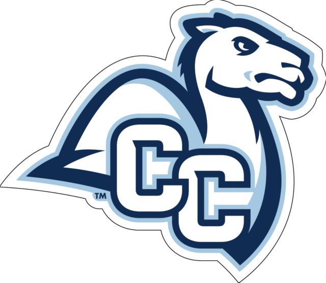 Connecticut College Large Decal Camel with CC - ONLINE ONLY