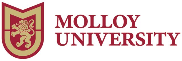 Molloy University Medium Decal Molloy University Wordmark - ONLINE ONLY