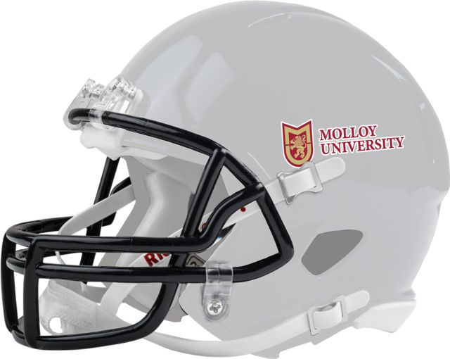 Molloy University Riddell Replica Mini Helmet Molloy University Wordmark - ONLINE ONLY