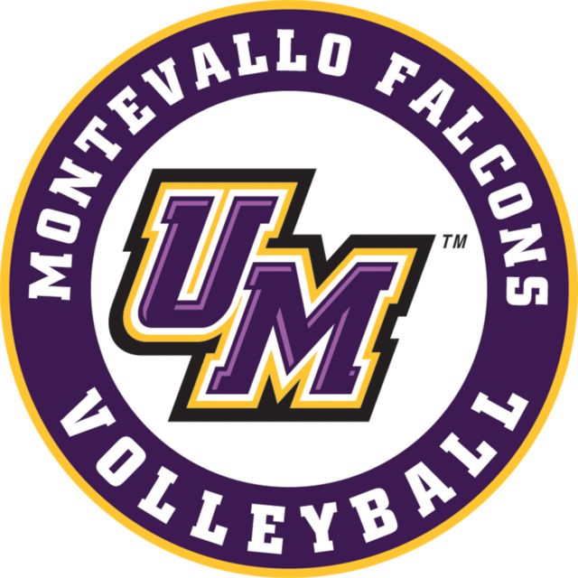 Montevallo Medium Decal Montevallo Falcons Volleyball - ONLINE ONLY