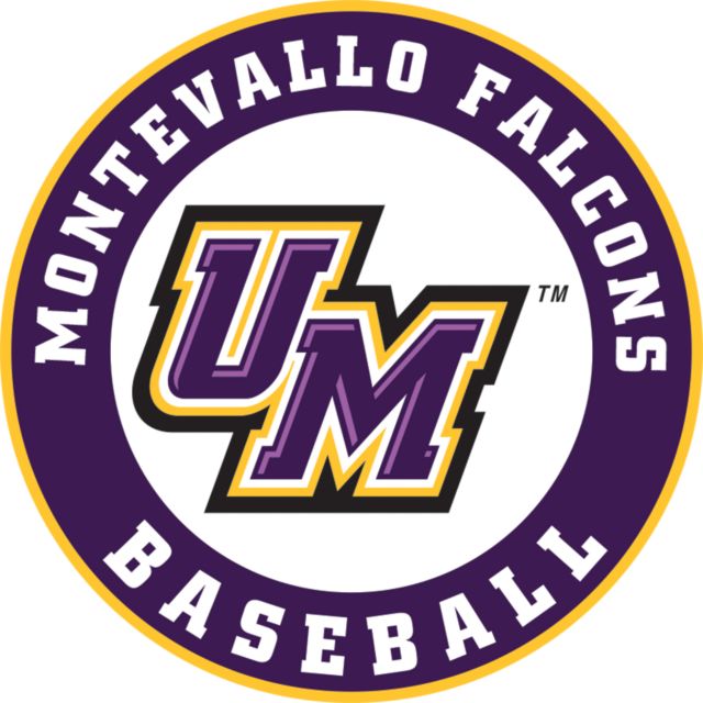 Montevallo Medium Decal Montevallo Falcons Baseball - ONLINE ONLY