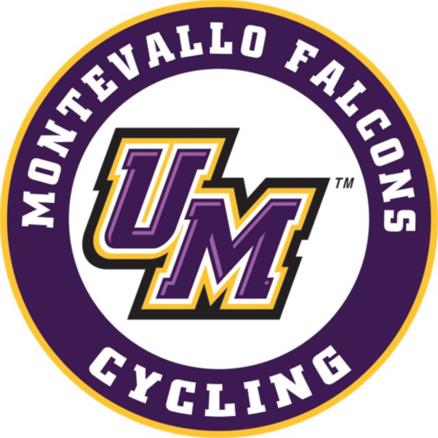 Montevallo Medium Decal Montevallo Falcons Cycling - ONLINE ONLY