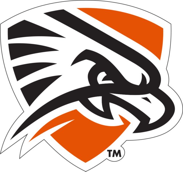 UT Permian Basin Medium Decal Falcon Shield - ONLINE ONLY