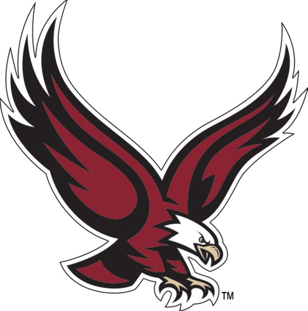 Boston College Medium Decal Eagle - ONLINE ONLY