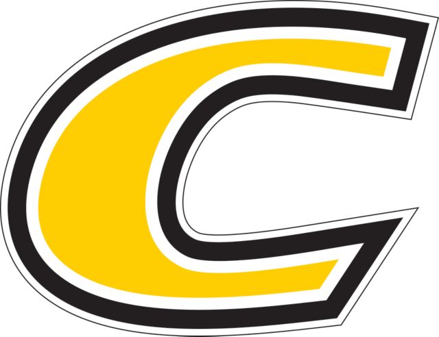 Centre Large Decal C Primary Mark - ONLINE ONLY