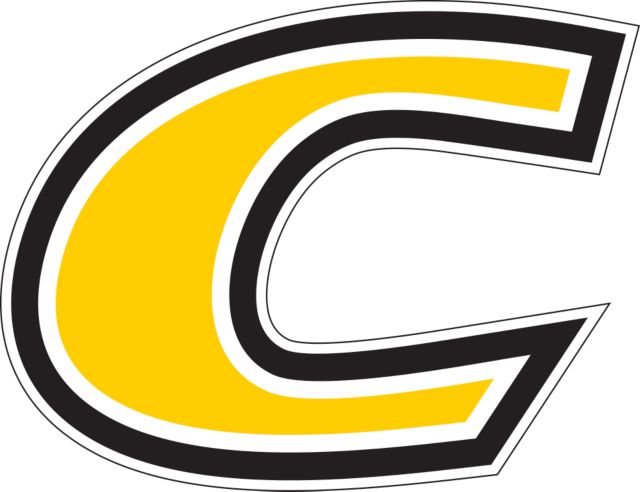 Centre Extra Large Decal C Primary Mark - ONLINE ONLY