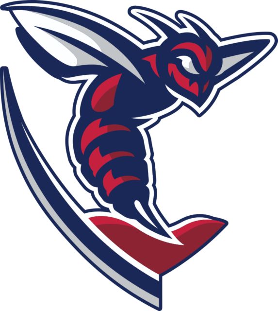 Shenandoah Medium Decal Hornet - ONLINE ONLY