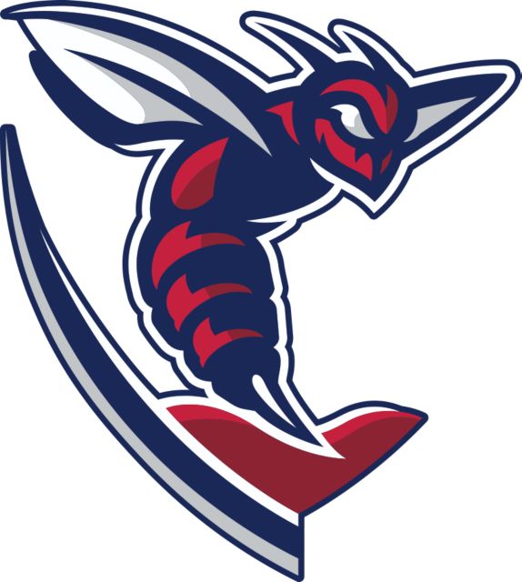 Shenandoah Large Decal Hornet - ONLINE ONLY