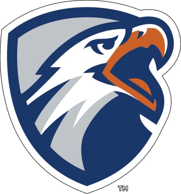 UT Tyler Medium Decal Swoop Shield - ONLINE ONLY