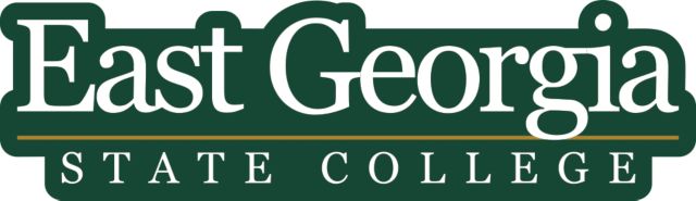 East Georgia State Extra Large Decal Primary Mark - ONLINE ONLY