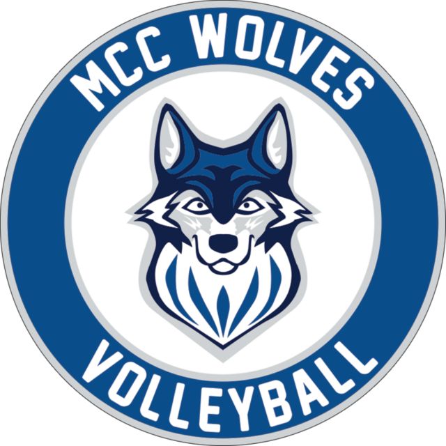 Metropolitan Longview Medium Decal Volleyball - Metropolitan Community College - ONLINE ONLY
