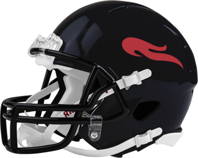 Southeastern (FL) Fire Riddell Speed Mini Football Helmet - 417 Helmets