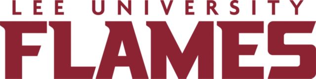 Lee University Medium Decal Lee Flames University - ONLINE ONLY