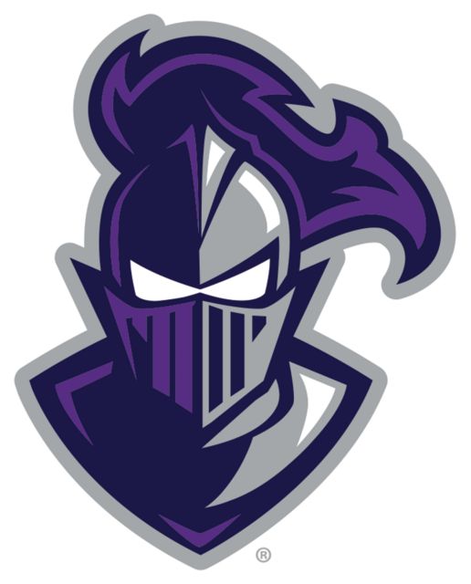 Furman Large Decal Furman Paladins Mascot Head - ONLINE ONLY