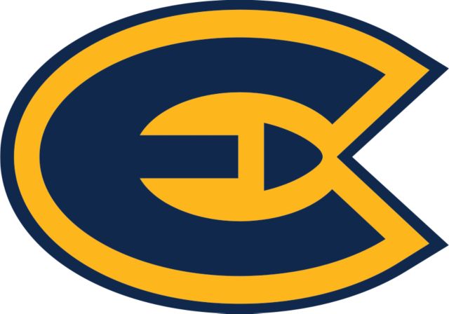 Eau Claire Medium Decal Primary Athletic Mark - ONLINE ONLY