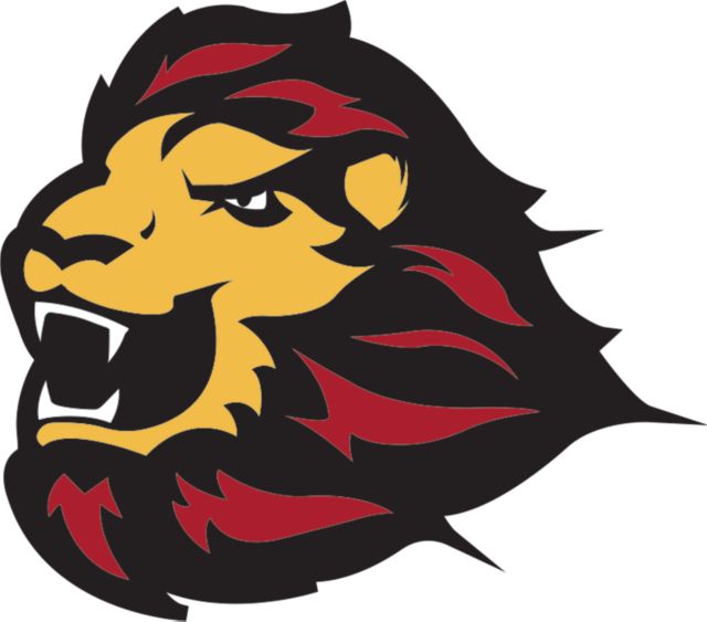 St. Thomas Large Decal UST Primary Mark - ONLINE ONLY