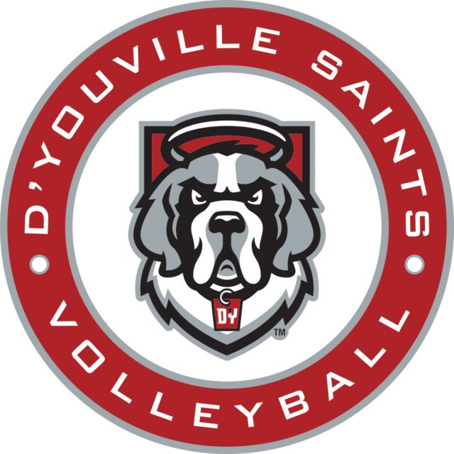 D Youville Medium Decal DYS - Volleyball