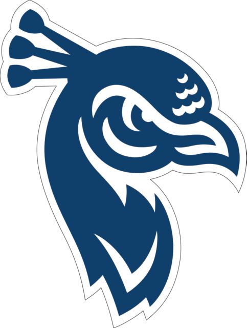 Saint Peters Large Decal Saint Peters Mascot Head - ONLINE ONLY