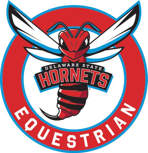 Delaware State Medium Decal Delaware State Equestrian - ONLINE ONLY