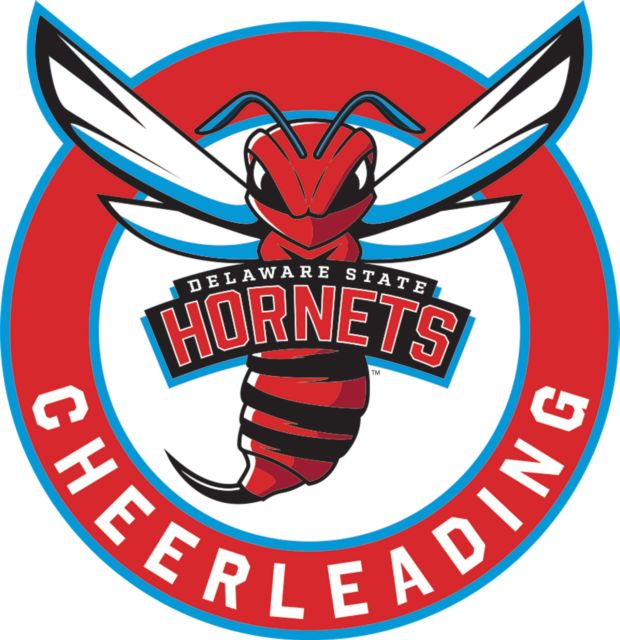 Delaware State Medium Decal Delaware State Cheerleading - ONLINE ONLY