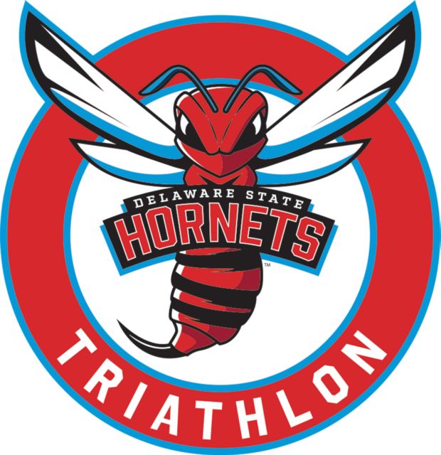 Delaware State Medium Decal Delaware State Triathlon - ONLINE ONLY