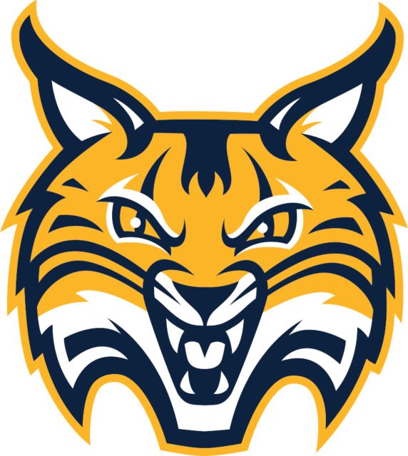 quinnipiac car sticker