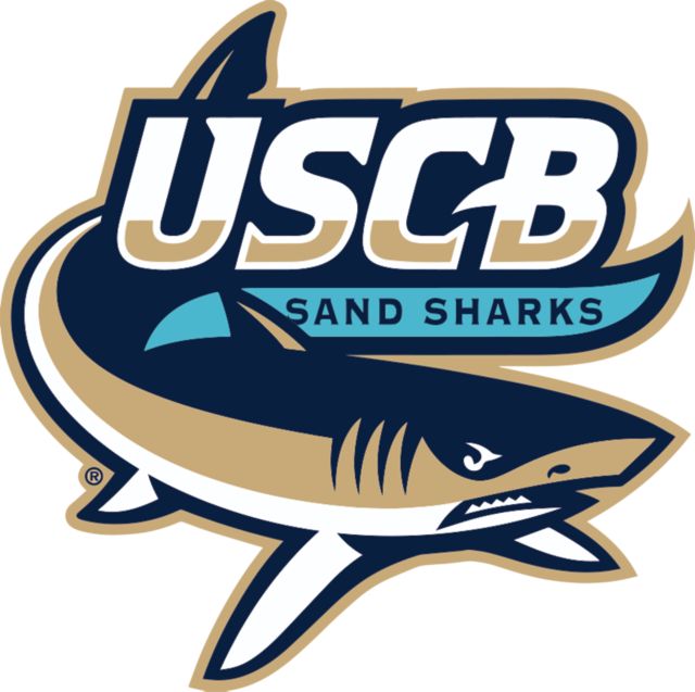 South Carolina Beaufort Medium Decal USCB Primary Athletics Mark - ONLINE ONLY