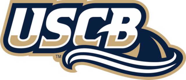 South Carolina Beaufort Medium Decal USCB Shark Wave - ONLINE ONLY