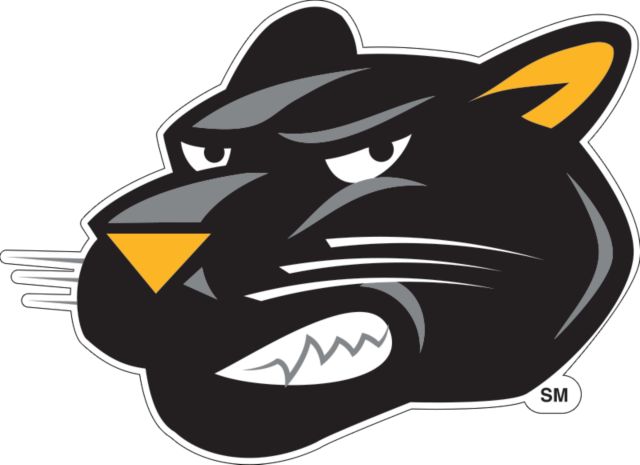 Wisconsin Milwaukee Medium Decal UWM Panther Head Mascot - ONLINE ONLY