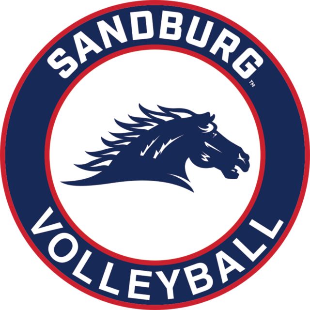 Carl Sandburg Medium Decal Volleyball - Sandburg - ONLINE ONLY