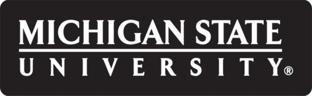 Michigan State Large Decal Michigan State University Institutional Mark - ONLINE ONLY